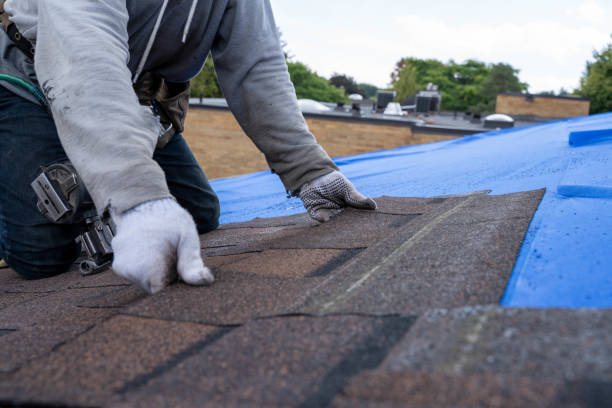 Best Roof Waterproofing Services  in Gibson, AR