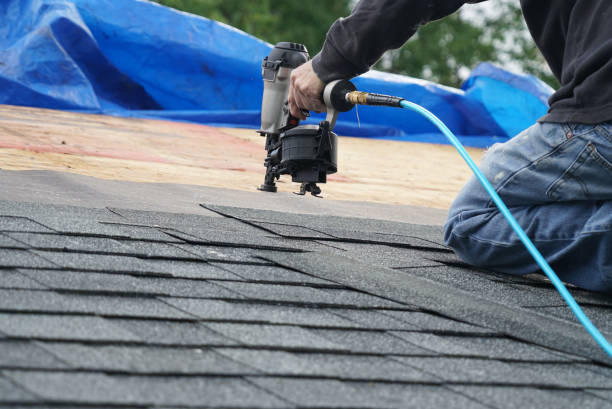 Professional Roofing Contractor in Gibson, AR